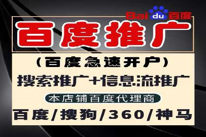 案例研究：关键词竞价排名实战技巧